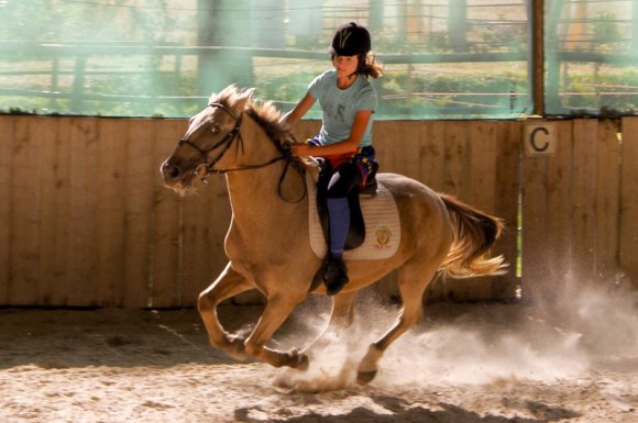 Cours d'équitation Cambounet-sur-le-Sor