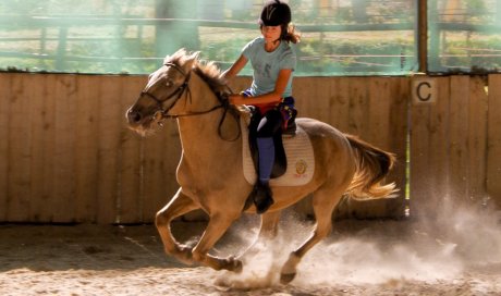 Cours d'équitation Cambounet-sur-le-Sor