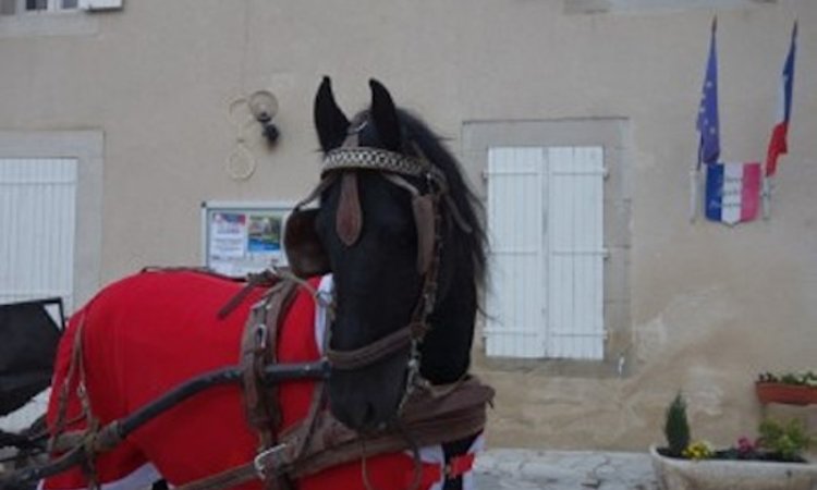 Activités Cambounet-sur-le-Sor 