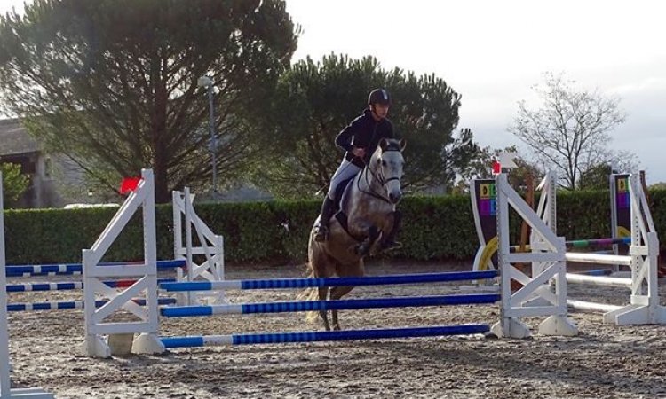 Concours d'équitation CSO