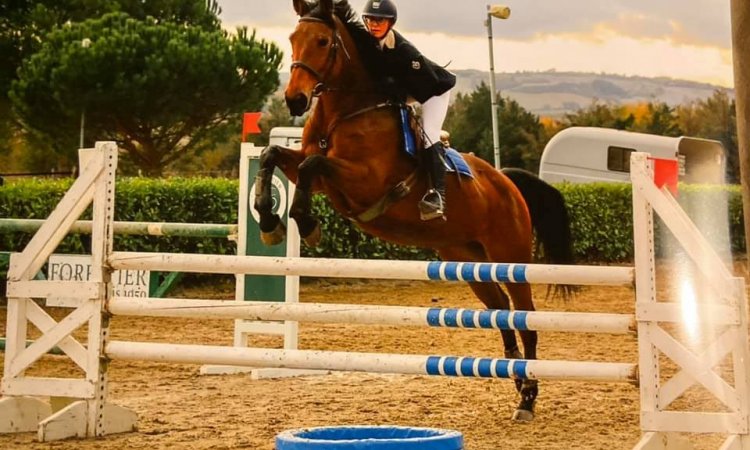 Concours d'équitation CSO