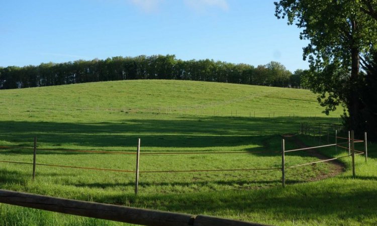 Installations de votre  centre équestre à Cambounet-sur-le-Sor 