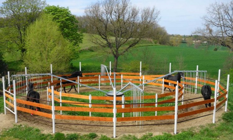 Installations de votre  centre équestre à Cambounet-sur-le-Sor 