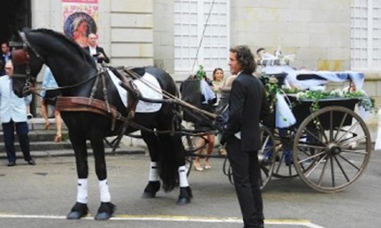 Activités Cambounet-sur-le-Sor 