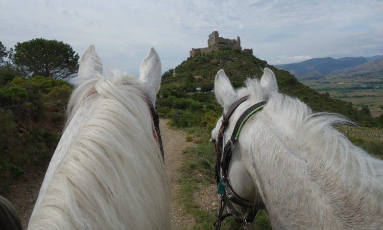 Randonnée à cheval