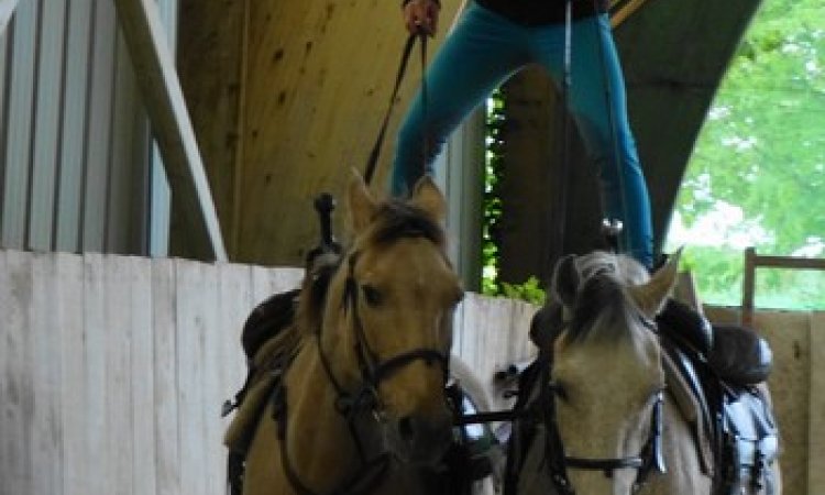 Cours de voltige Cambounet-sur-le-Sor